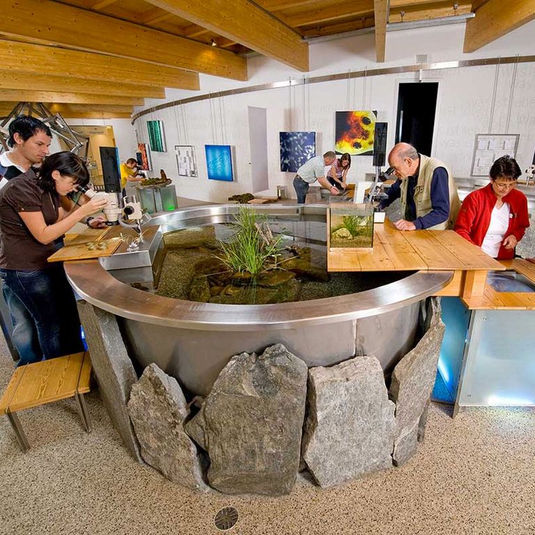 Aktivitäten Aktivitäten in der Region/ Familie erkundet Naturmuseum