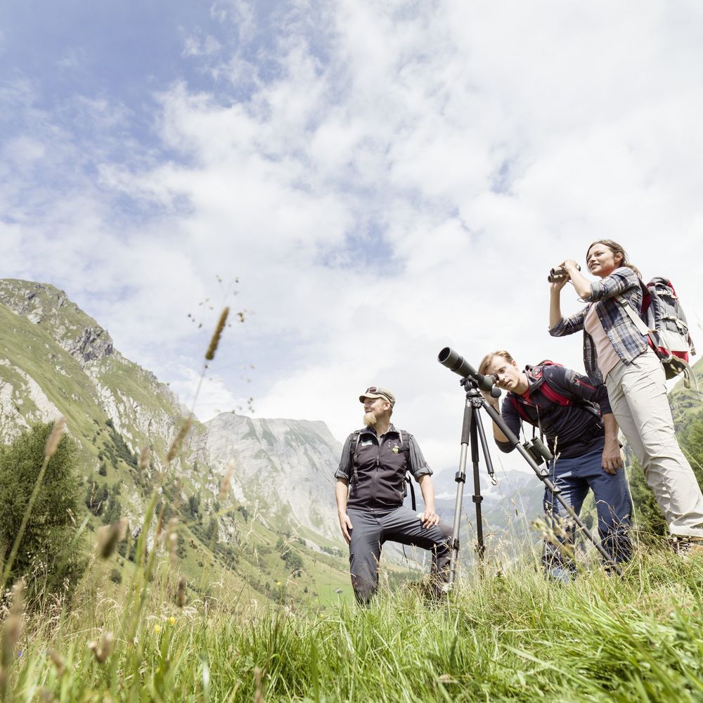 Suchen & Buchen Unterkünfte finden / Familie steht in der Wiese am Berg mit schweifendem Blick